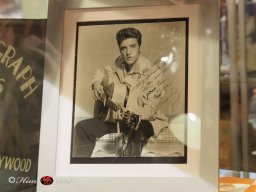 Elvis Ausstellung im 48er